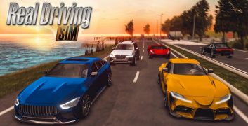 Real Driving Sim Mod Apk