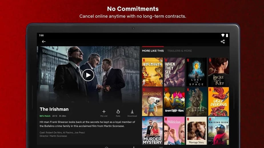 Netflix User-Friendly App