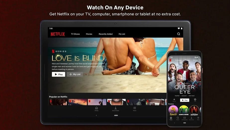 download netflix mod apk Anywhere and Anytime