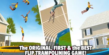 mod flip master
