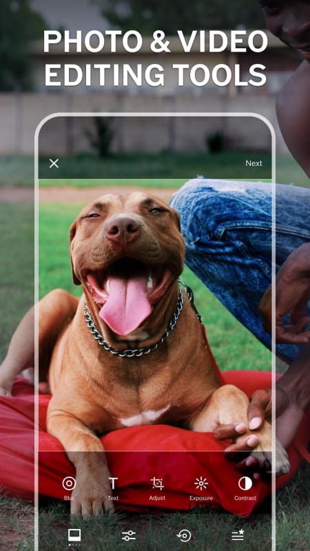 Tải VSCO MOD APK dành cho Android